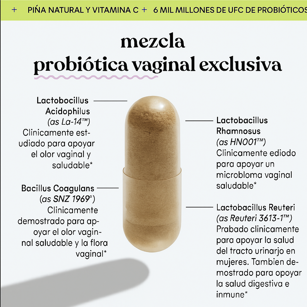 Encabezado